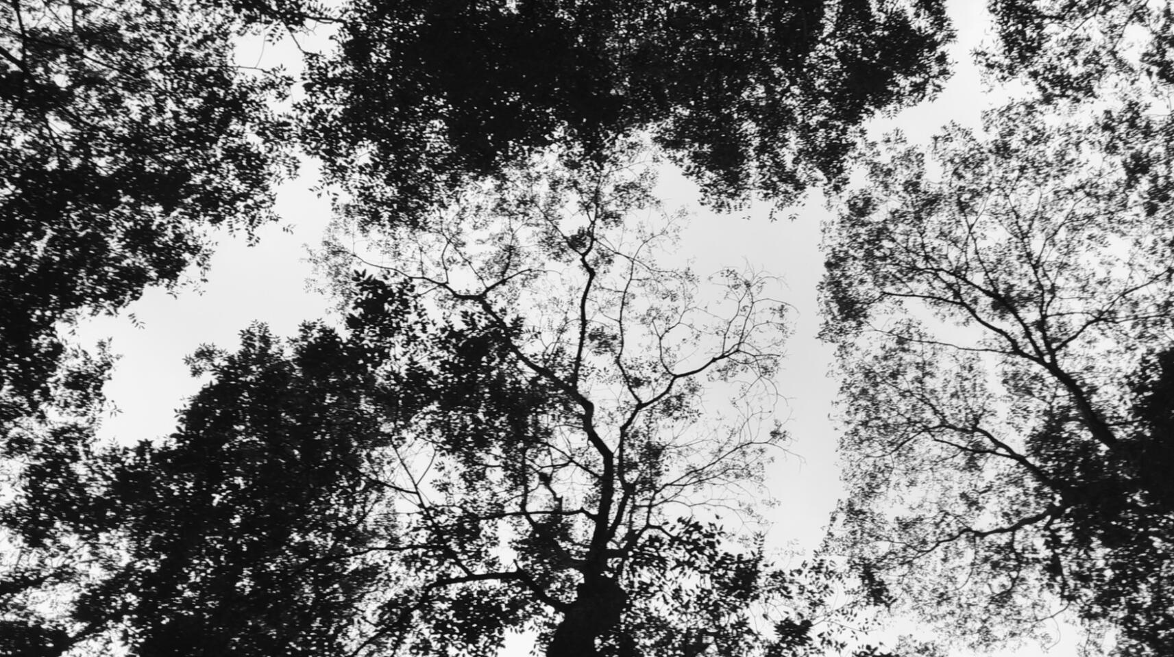 The sky is mine